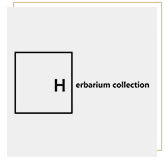 herbarium-collection-italienspr-cecilia-sandroni-culture-human-rights-public-relations-pr